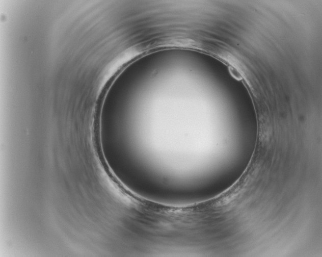 X0000088581139200706011106