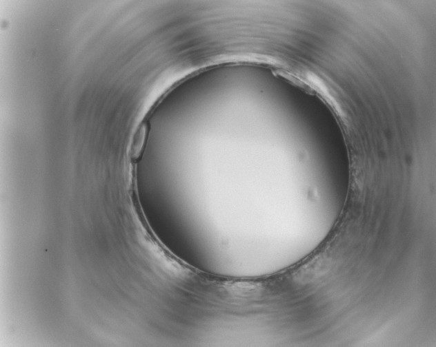 X0000088581140200706011106