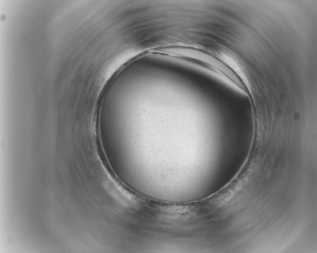 X0000088581141200706011106