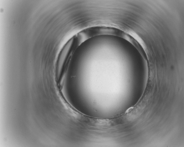 X0000088581144200706011106