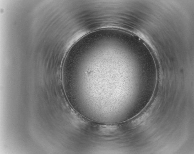 X0000088581145200706011106