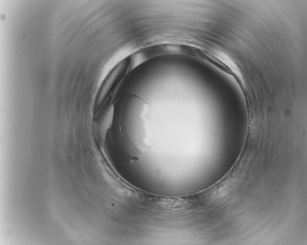 X0000088581146200706011106