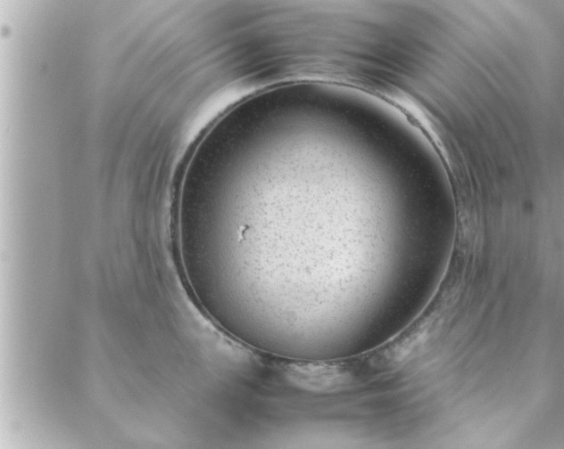 X0000088581147200706011106