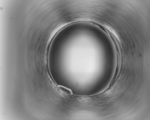 X0000088581148200706011106