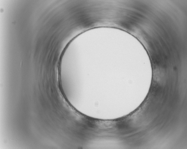 X0000088581150200706011106