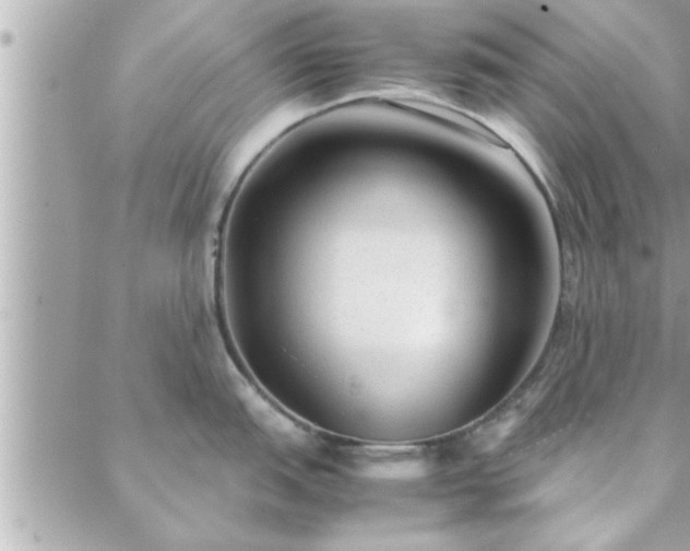 X0000088581151200706011106