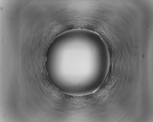 X0000088581153200706011105