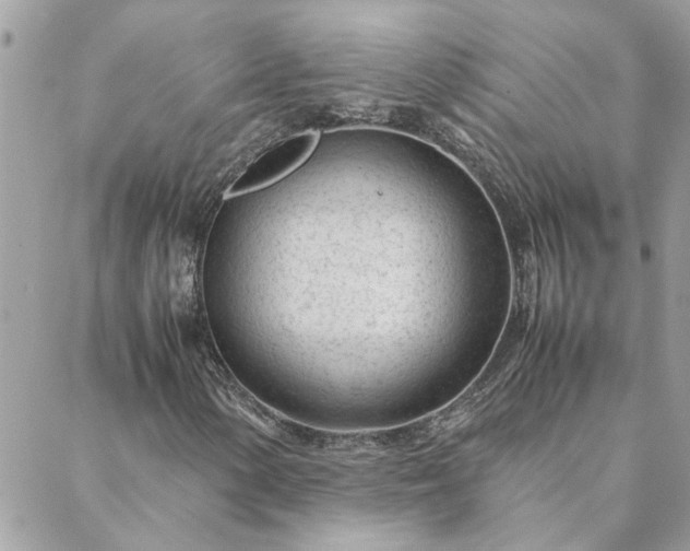 X0000088581154200706011105