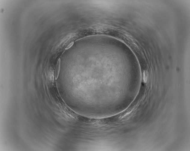 X0000088581155200706011105