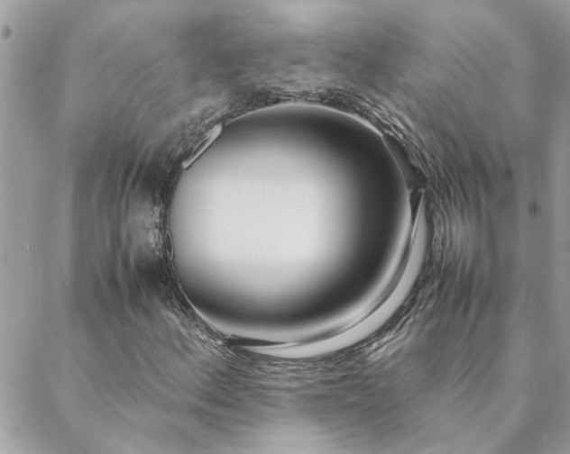 X0000088581156200706011105