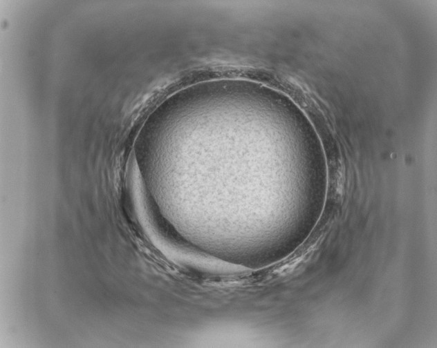 X0000088581157200706011105