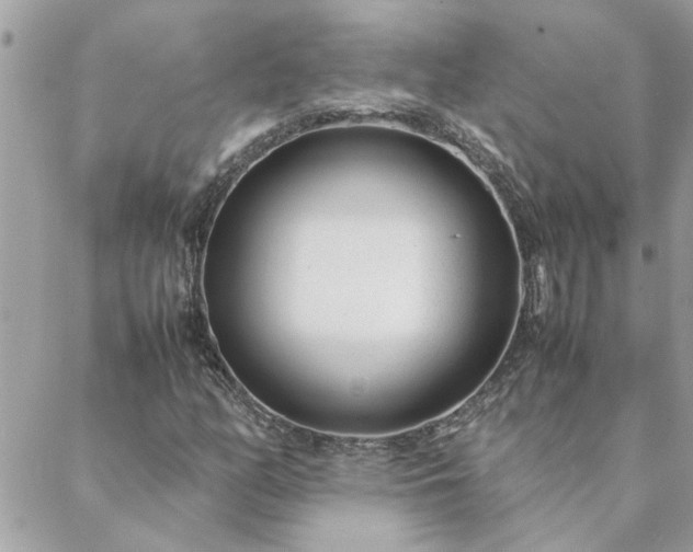 X0000088581158200706011105