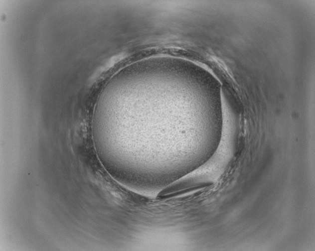 X0000088581159200706011105