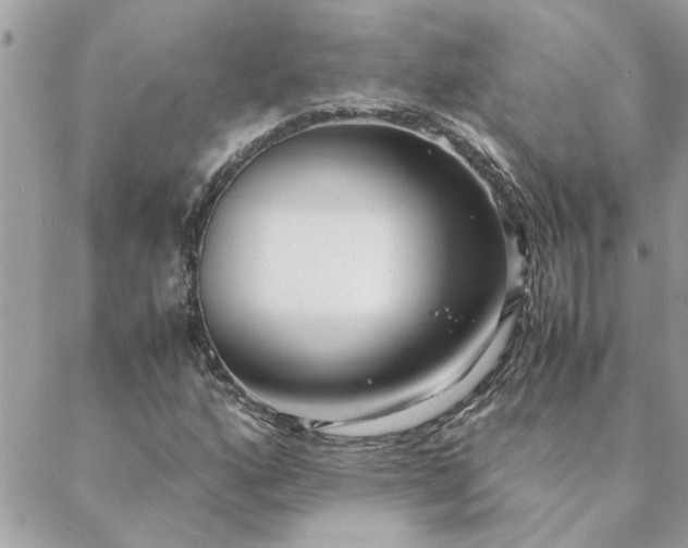 X0000088581160200706011105