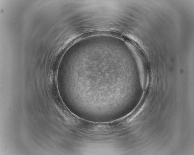 X0000088581161200706011105