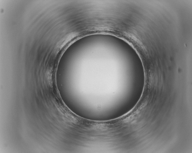 X0000088581162200706011105