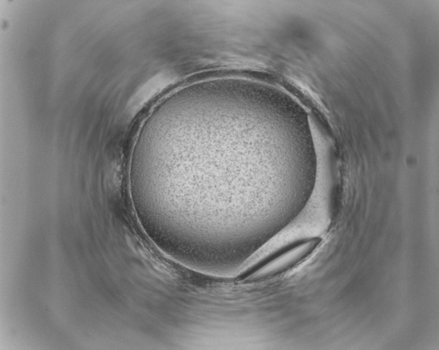 X0000088581163200706011105