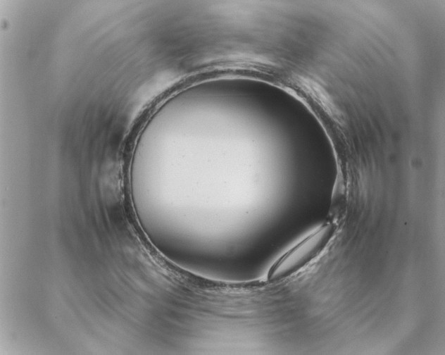 X0000088581164200706011105