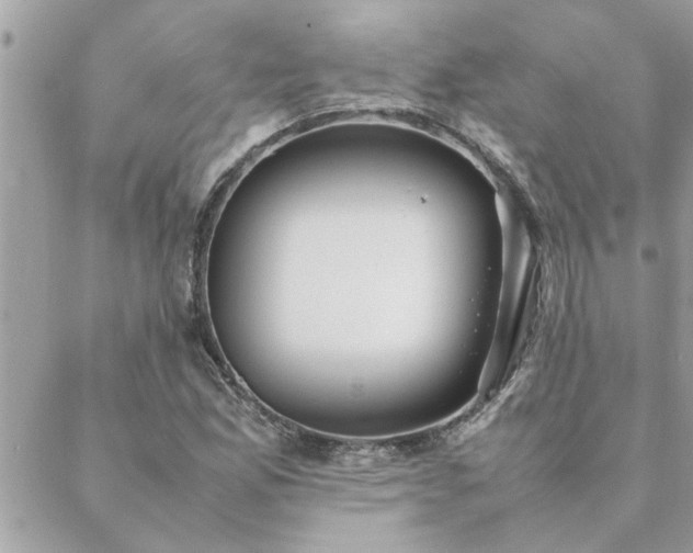 X0000088581165200706011105