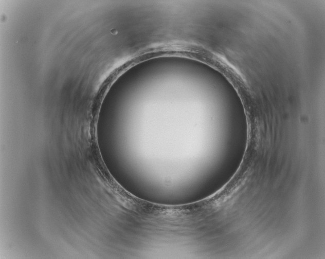 X0000088581166200706011105