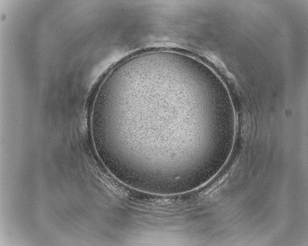 X0000088581167200706011105