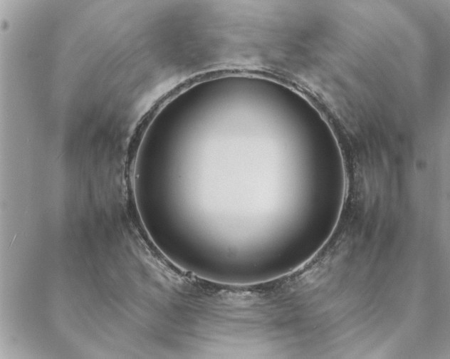 X0000088581168200706011105