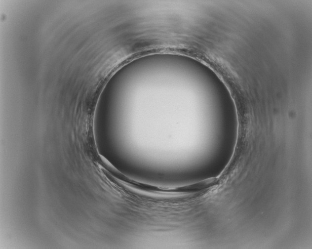 X0000088581169200706011105