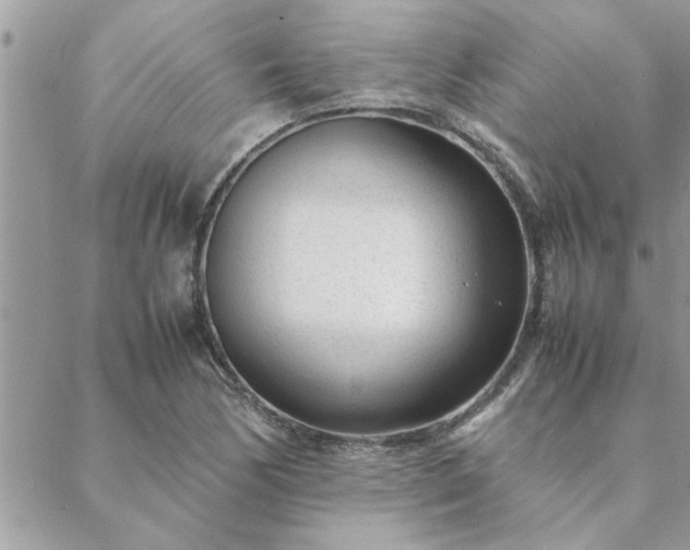 X0000088581170200706011105