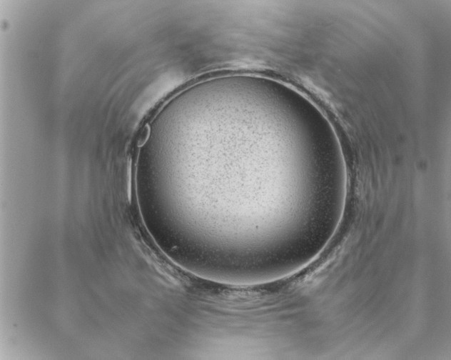 X0000088581171200706011105