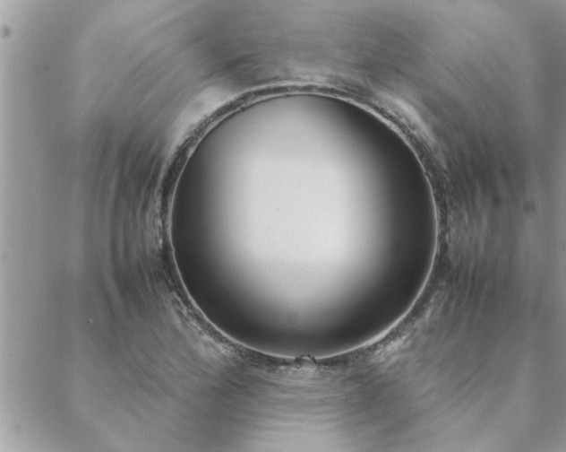 X0000088581172200706011105