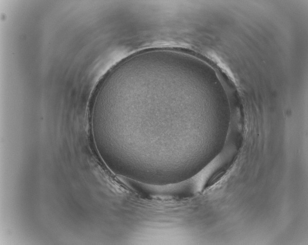 X0000088581173200706011105