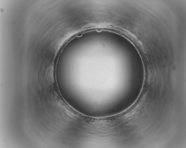 X0000088581174200706011105