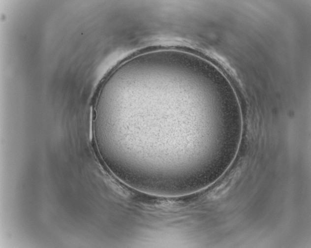 X0000088581175200706011105