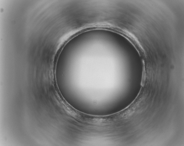 X0000088581176200706011105