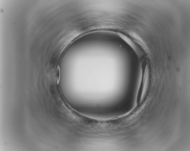 X0000088581177200706011105