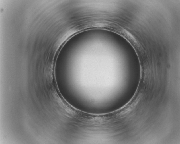 X0000088581178200706011105