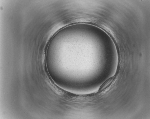 X0000088581179200706011105