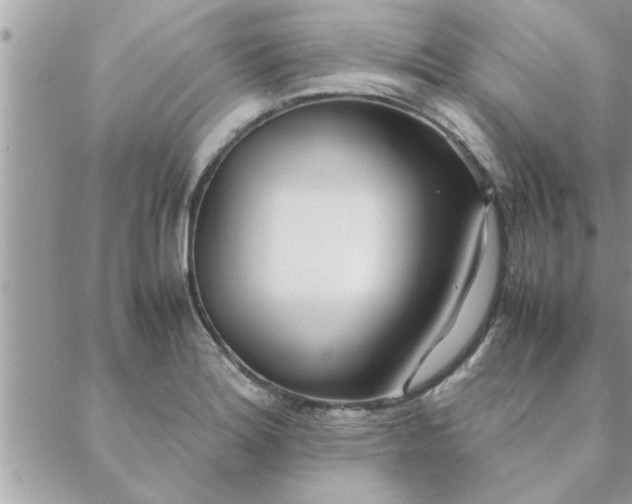 X0000088581180200706011105