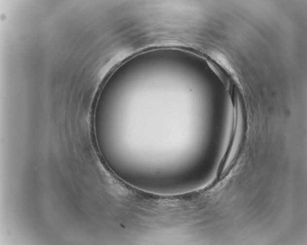 X0000088581181200706011105