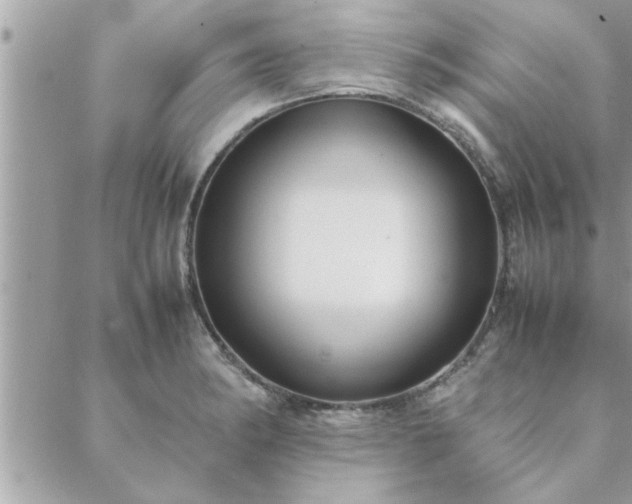 X0000088581182200706011105