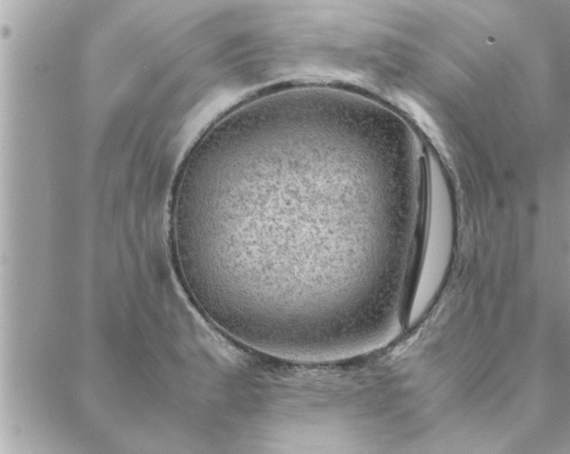 X0000088581183200706011105