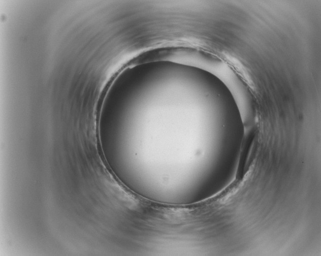 X0000088581184200706011105