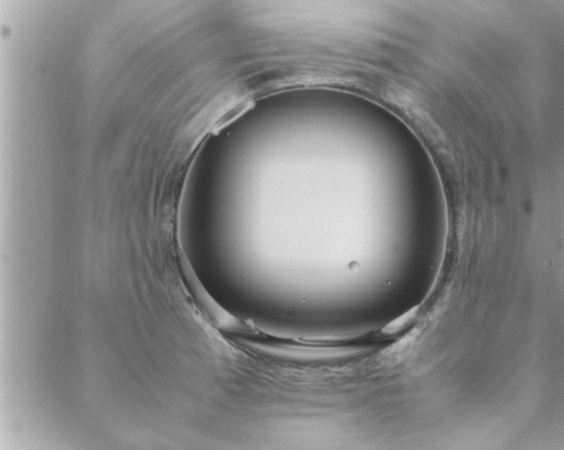 X0000088581185200706011105