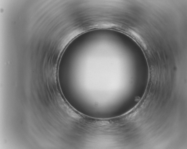 X0000088581186200706011105