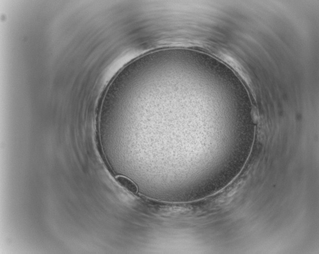 X0000088581187200706011105