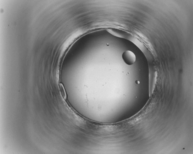 X0000088581188200706011105