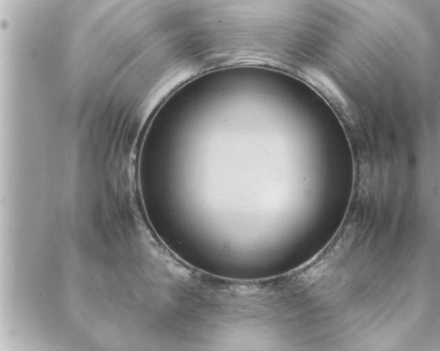 X0000088581190200706011105