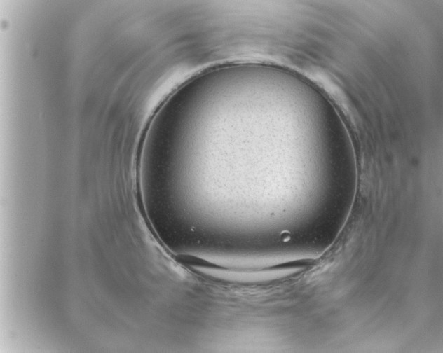 X0000088581191200706011105