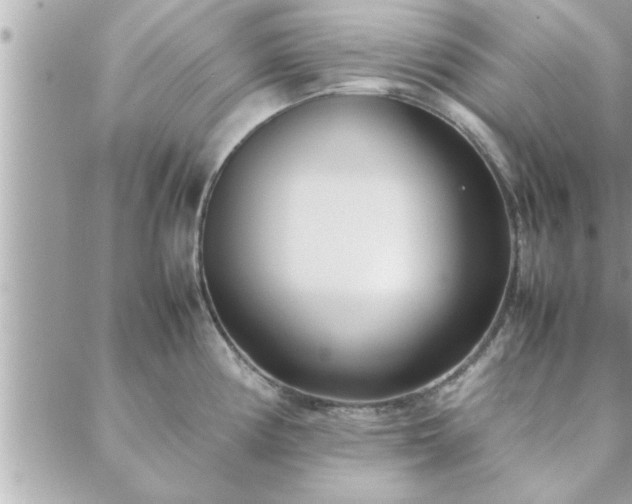 X0000088581194200706011105