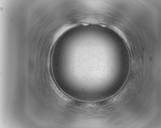 X0000088581195200706011105